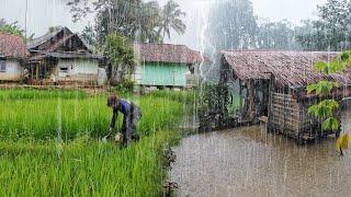 Seram Banget !!, Tapi Bikin Betah Hujan Deras Di Kampung Mengguyur Tasikmalaya Selatan Jawa Barat