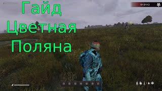 Гайд  Данж Цветная Поляна в Dayz. FROSTY WORLD PVE