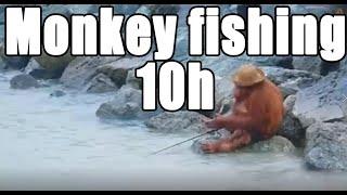 Monkey fishing for 10 hours