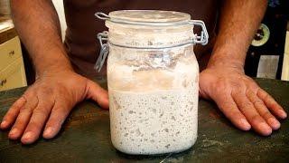 Cultivate Your Own Wild Yeast Starter