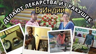 КАК И ЧЕМ ЛЕЧИЛИ В ИНДИИ РАНЬШЕ фестиваль в ашраме часть 2#индия #керала #наташаиндия #аюрведа