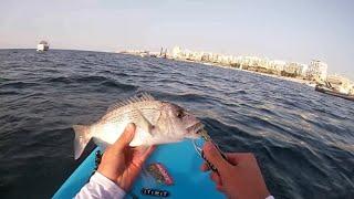 Fishing from a Paddleboard (LRF)