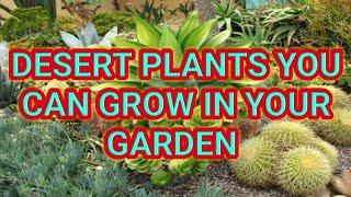 Best Desert Plants for your private garden now