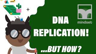 DNA Replication & Protein Synthesis:  Grade 12 Life Sciences