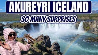 AKUREYRI, ICELAND | Godafoss , Myvatn Nature Baths, Dimmuborgir,  and an Unexpected Attack