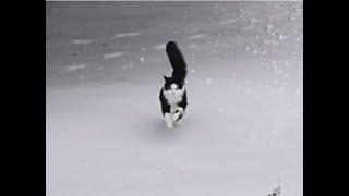 Connor Escaped in the Snow