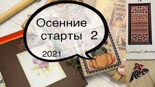 Поначинала! Осенние старты. Три новых процесса