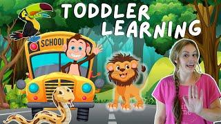 Learn Animal Names & Sounds + Jungle Animal Dance Along Songs! Toddler Learning Videos Miss Katie