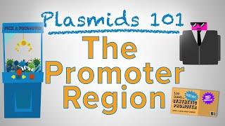 The Promoter Region - Plasmids 101