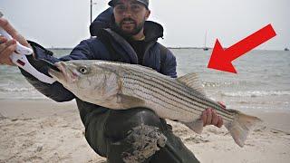 LUCKY Atlantic City Striped Bass Surf Fishing (a BIG surprise!)// New Jersey Spring Run 2023