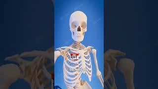 what will you do ? #knowledge #bodybuilding #viral