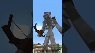 skeleton LVL 1 vs funny LVL 99 in Minecraft #shorts #meme #memes