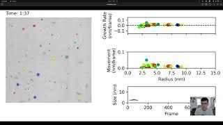 Plot several graphs in the same matplotlib animation