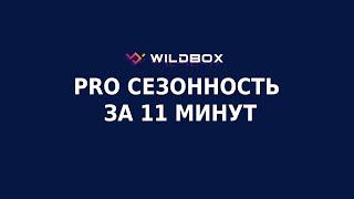 PRO анализ сезонности на Wildberries за 11 минут