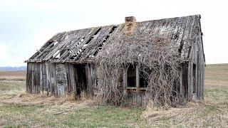 Metal Detecting: Abandoned Houses & Old School. BIG MONEY