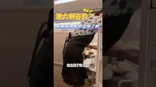 澳洲的东航商务舱也太绝了吧#留学 #旅行 #澳大利亚