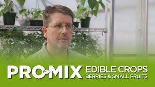 Best PRO-MIX Growing Media for Edible Crops: Berries and Small Fruits