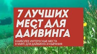 7 лучших мест для дайвинга и ныряния с аквалангом в мире