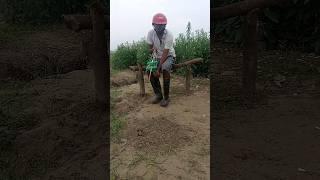 Farmer's Rat Killing 89 #shortsfeed #rattrap #farming #survival #viralvideo #hunt