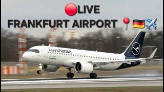 LIVE FRANKFURT FLUGHAFEN PLANESPOTTING️