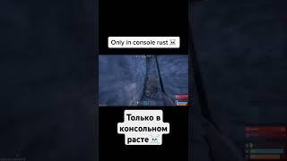 консоль это отдельный вид искуства#clans #memes #rofls #rust #кланы #раст