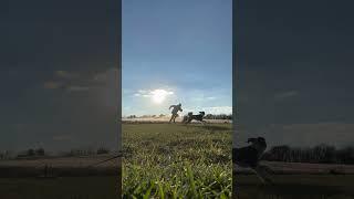 Sled Drag #sprinttraining