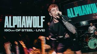 Alpha Wolf - 60cm Of Steel (Live in Vietnam)