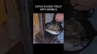 Cooking trout with morels in the hot tent