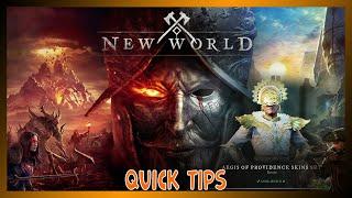 New World // QUICK TIPS - How to EQUIP armor skins // Aegis of Providence Skins Set