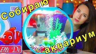 Элли Ди и Собака Джина - СОБИРАЕМ АКВАРИУМ ДИСНЕЙ НЕМО | Elli Di Pets