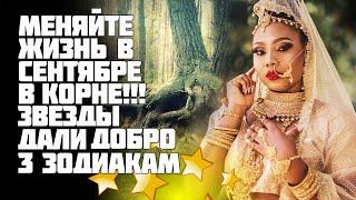 Пяти знакам Зодиака звезды дарят возможность в корне изменить жизнь осенью 2020