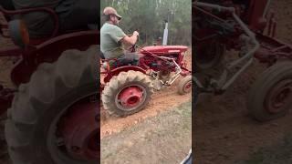 IH farmall 140 planting field corn for the pigs  #farmall #ih #corn #hog #pig