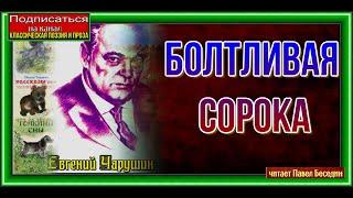 Болтливая сорока— Евгений Чарушин—  читает Павел Беседин