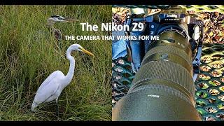The Nikon Z9 : The camera that works for me.