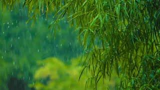 Relaxing rain sound for sleeping:- for meditation,fast deep sleeping,beat insomnia `•without adds•´