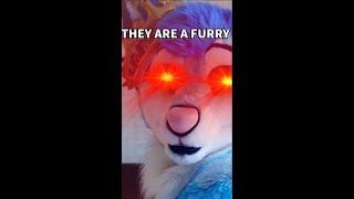 Why You Should Never Trust a Minecraft Furry