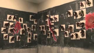 Wangechi Mutu at MCA Australia