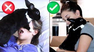 PROS & CONS Of Having a Rabbit!