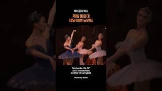 제일 짧은데 제일 예쁜 모먼트 | 발레, 레이몬다