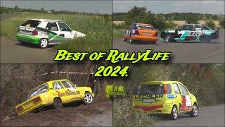 Best of RallyLife 2024. | Crashes, Actions & Hot Moments