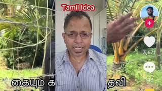 புலம்பெயர்ந்த தமிழர்களின் பணத்தை திருடும் இலங்கையில் உள்ள Tiktok YouTube திருடர்கள்.