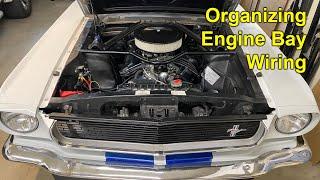 Wiring in Engine Bay