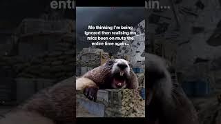 Are you that gamer  #memes #warzone #fyp
