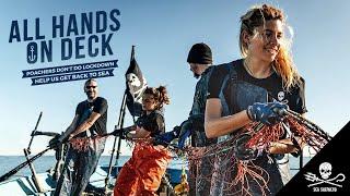 Send Sea Shepherd Back to the Frontlines
