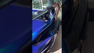 Why 29 I have no clue #automobile #carevent #carshows #snake #lamborghini