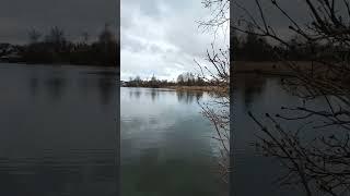 Calm winter day by the lake. Moments of peaceful solitude #winterwonderland #nature  #calm