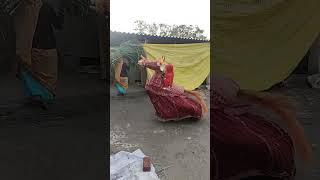 #song #sorts #naaginjaisikamarhila #dance #music #2मुखी #dj #dholakvadak