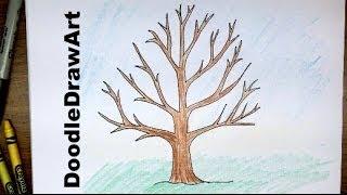 How To Draw A Tree Without Leaves -  Easy Drawing Tutorial for Beginners!