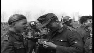 German and Italian prisoners under the guard of US Army Military Police,  in Anzi...HD Stock Footage