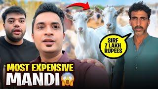 7 LAKH K BAKRAY LELIYE ?  | MANDI PROGRAM CANCEL  | MAMA SAD HOGAI 